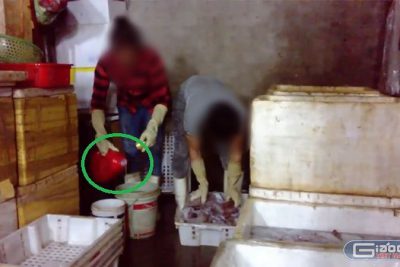 Tại sao phụ huynh một số nơi hoang mang trước bữa ăn học đường?